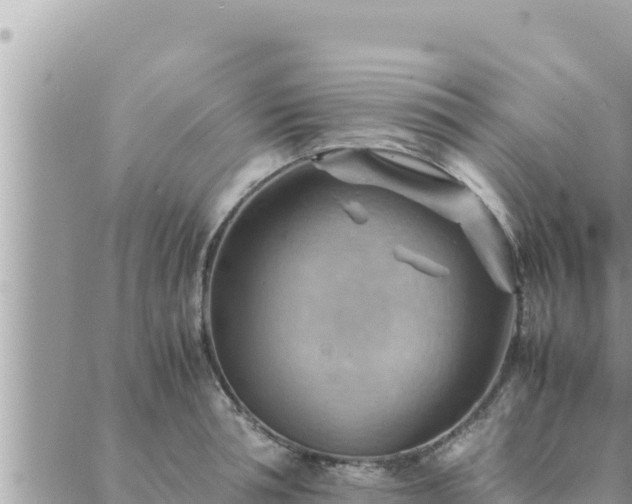 X0000088600994200706011158