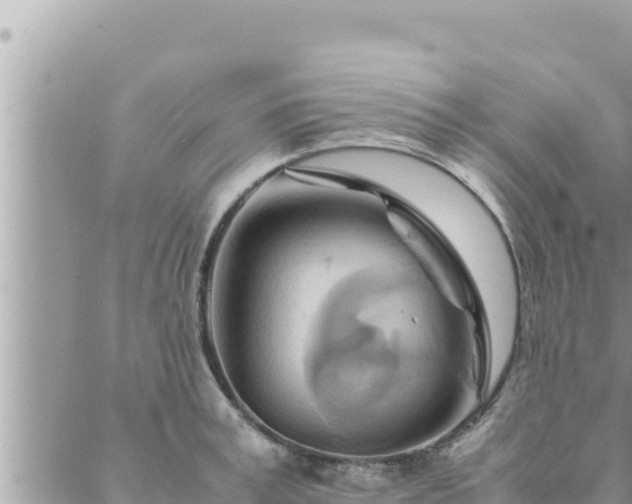 X0000088600995200706011158