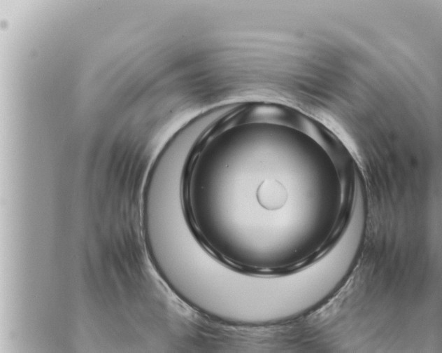 X0000088600996200706011158