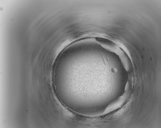 X0000088600997200706011158