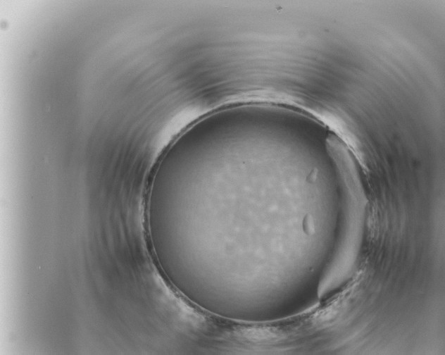 X0000088600998200706011158