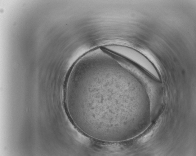 X0000088600999200706011158