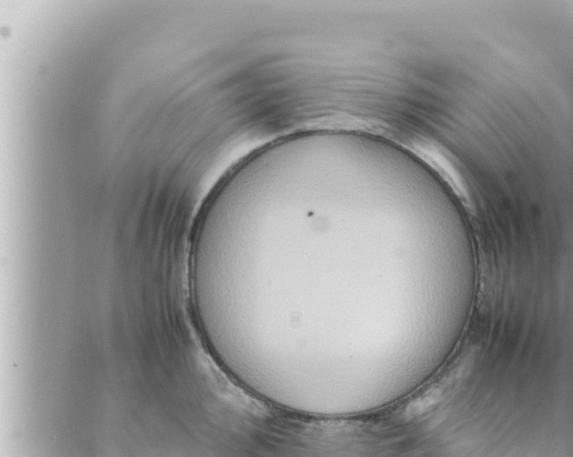 X0000088601000200706011158