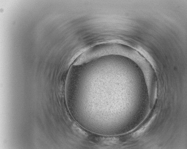 X0000088601001200706011158