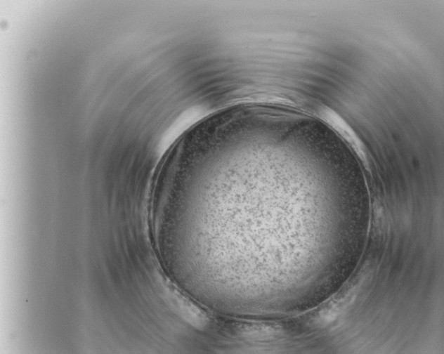 X0000088601002200706011158