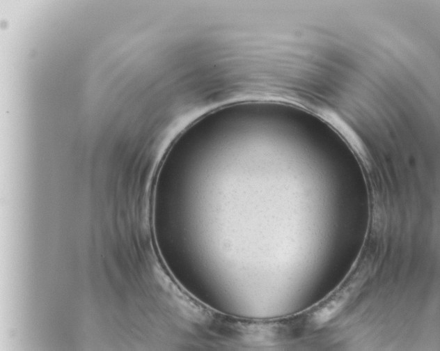 X0000088601004200706011158