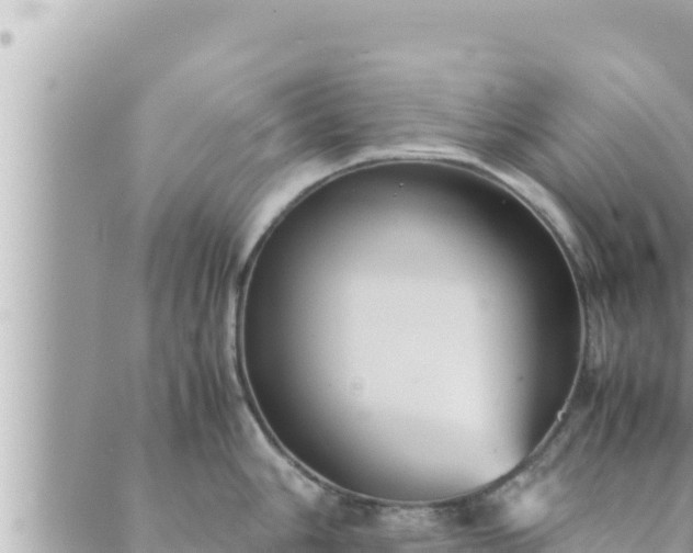 X0000088601006200706011158