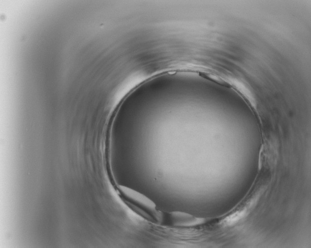 X0000088601007200706011158