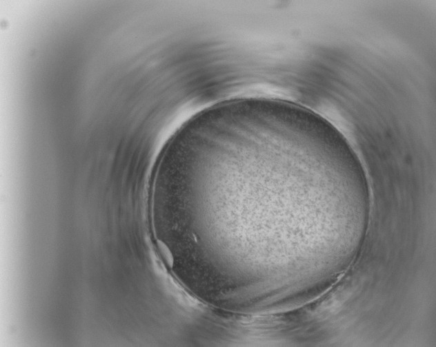 X0000088601008200706011158