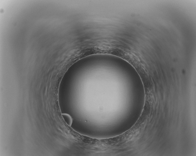 X0000088601009200706011157