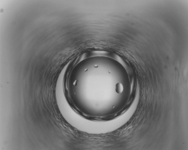 X0000088601010200706011157