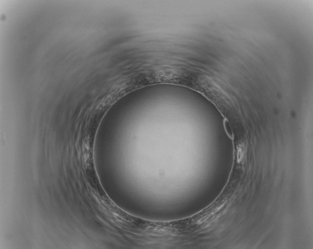 X0000088601011200706011157