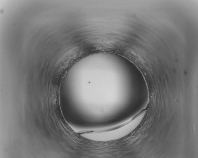 X0000088601012200706011157