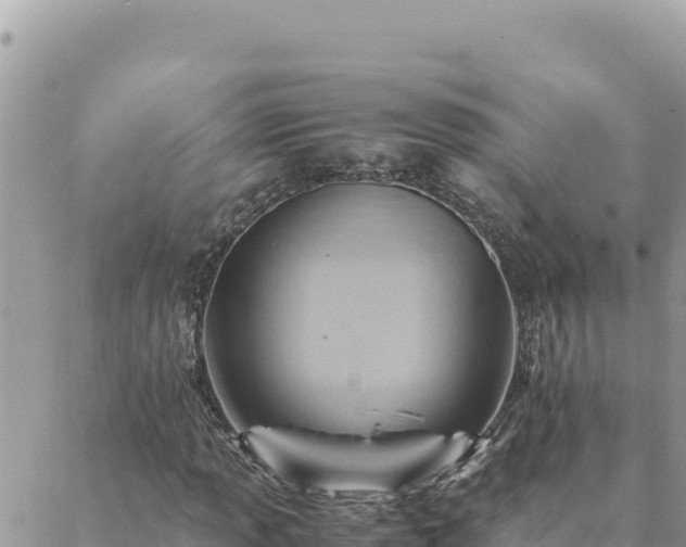 X0000088601013200706011157