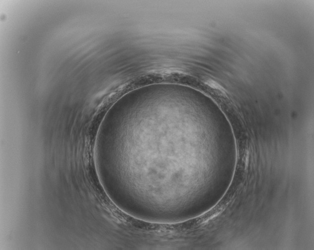 X0000088601014200706011157