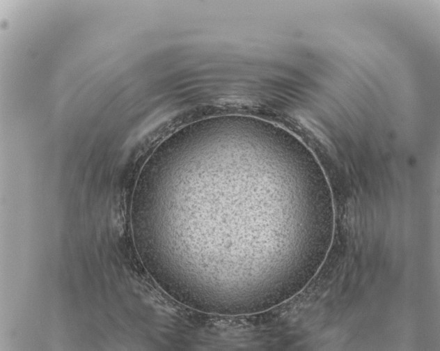 X0000088601015200706011157