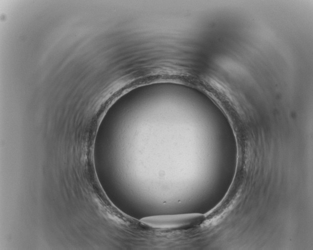 X0000088601017200706011157