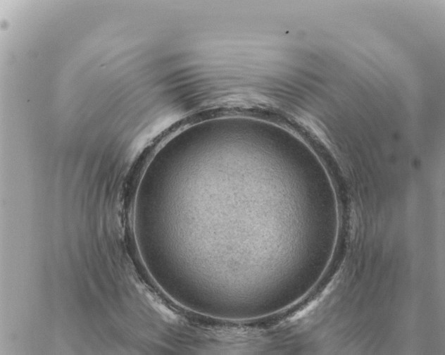 X0000088601018200706011157