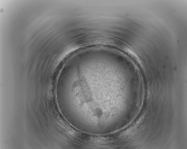 X0000088601019200706011157