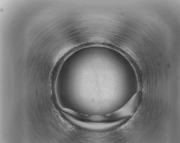 X0000088601022200706011157