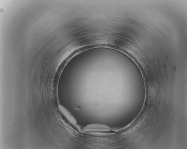 X0000088601023200706011157