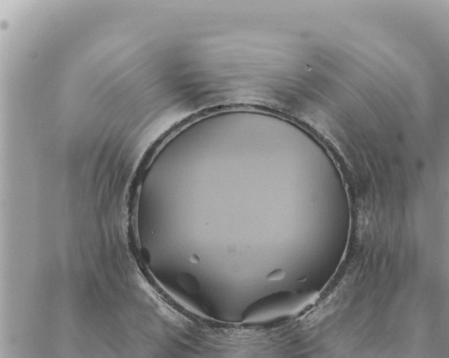 X0000088601024200706011157