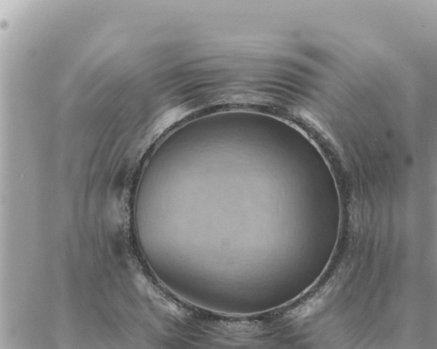 X0000088601025200706011157