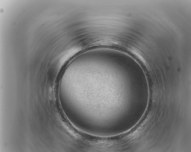 X0000088601026200706011157