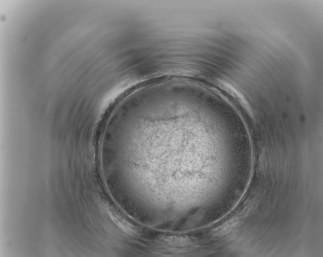 X0000088601027200706011157