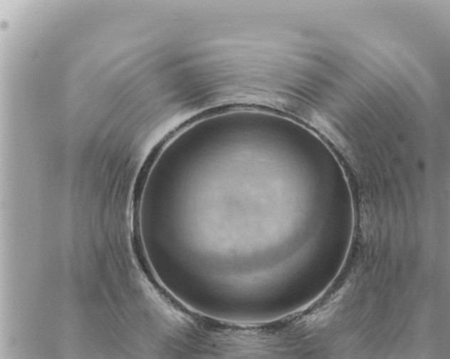 X0000088601028200706011157