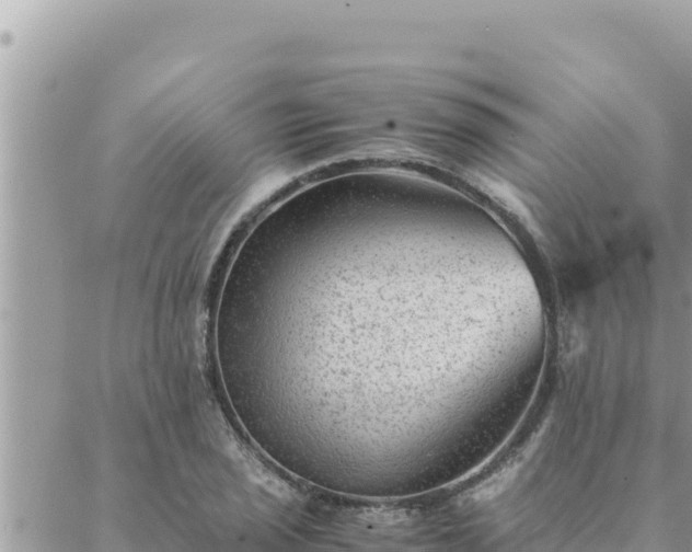 X0000088601029200706011157