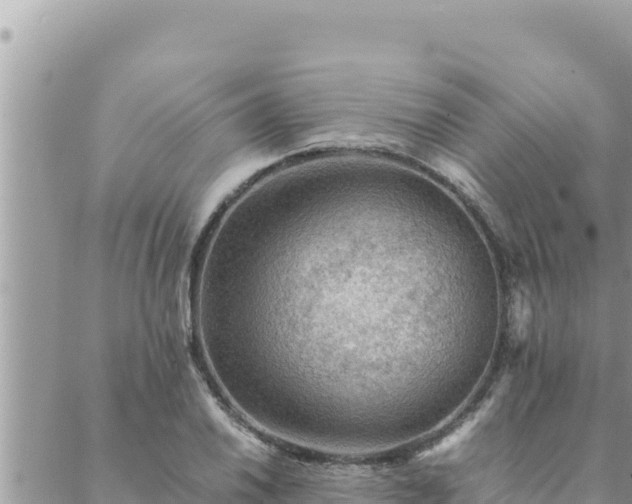 X0000088601030200706011157