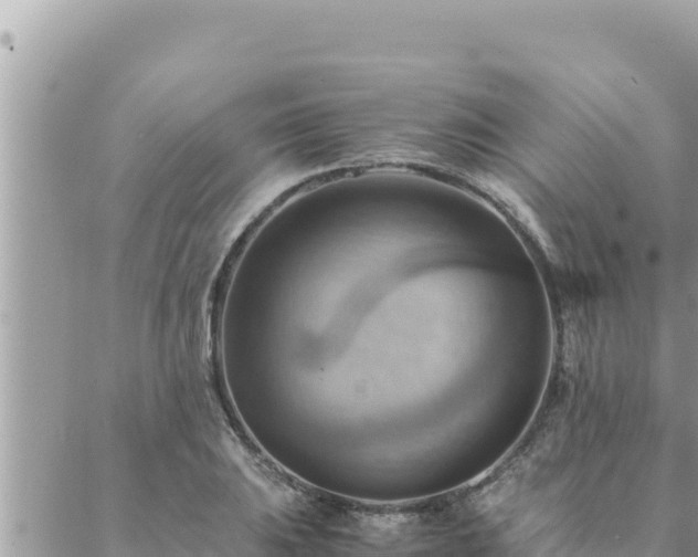 X0000088601031200706011157