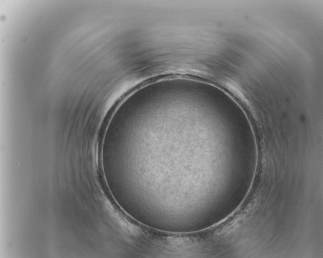 X0000088601032200706011157