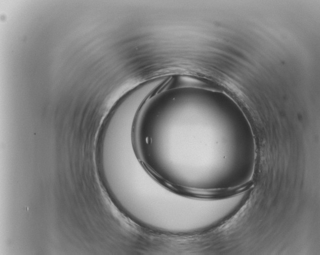 X0000088601034200706011157