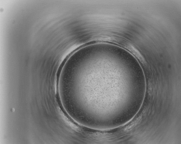 X0000088601036200706011157