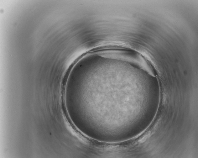 X0000088601038200706011157