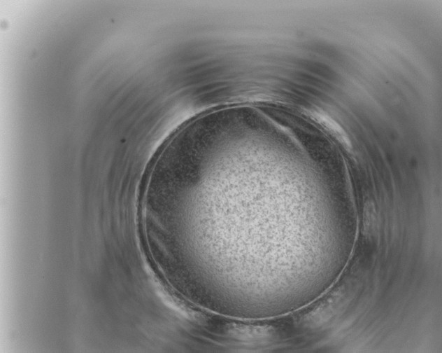 X0000088601039200706011157