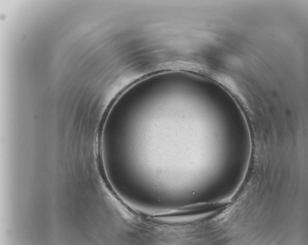 X0000088601040200706011157