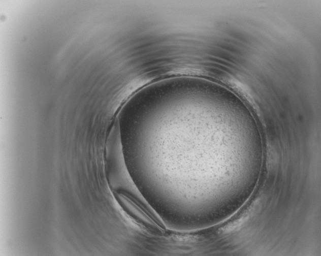 X0000088601041200706011157