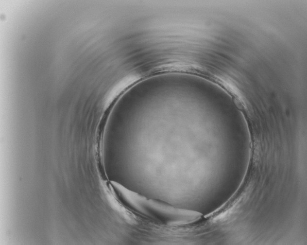 X0000088601042200706011157