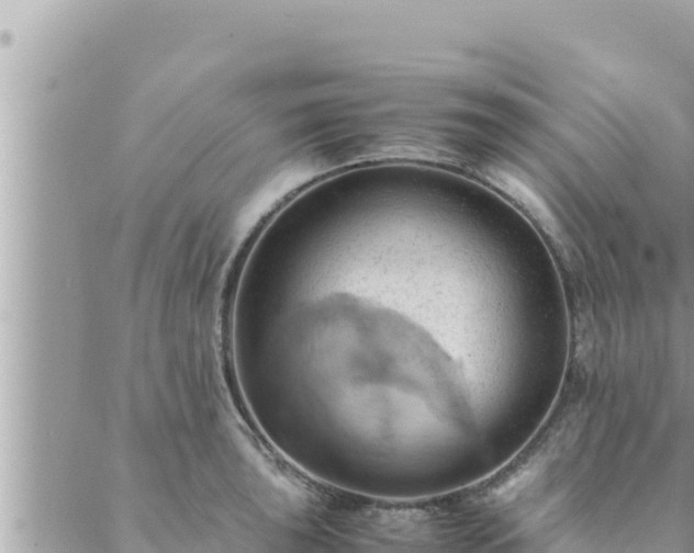 X0000088601043200706011158