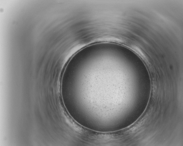 X0000088601044200706011158