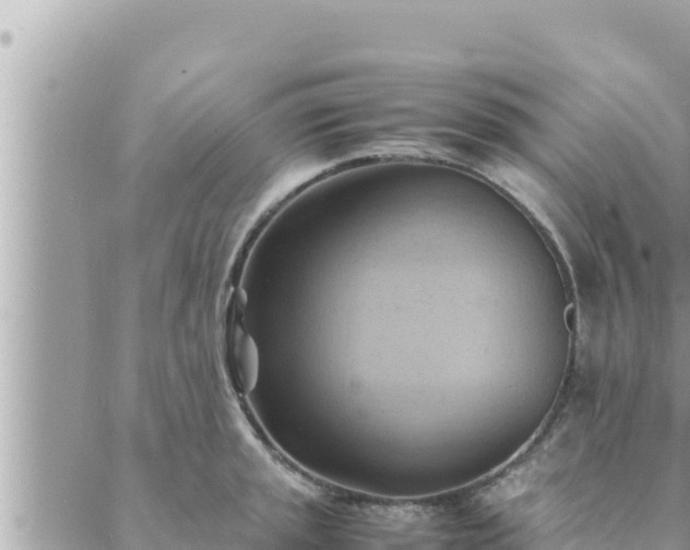 X0000088601045200706011158