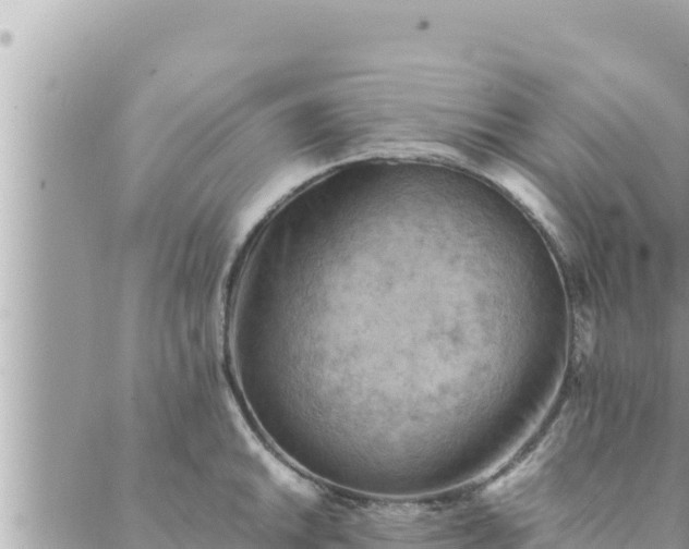 X0000088601046200706011158