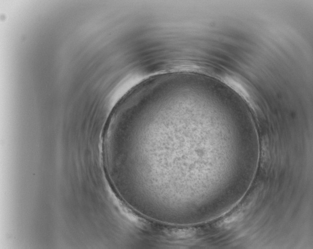 X0000088601047200706011158