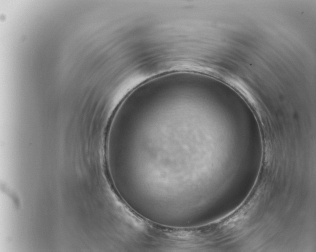 X0000088601048200706011158