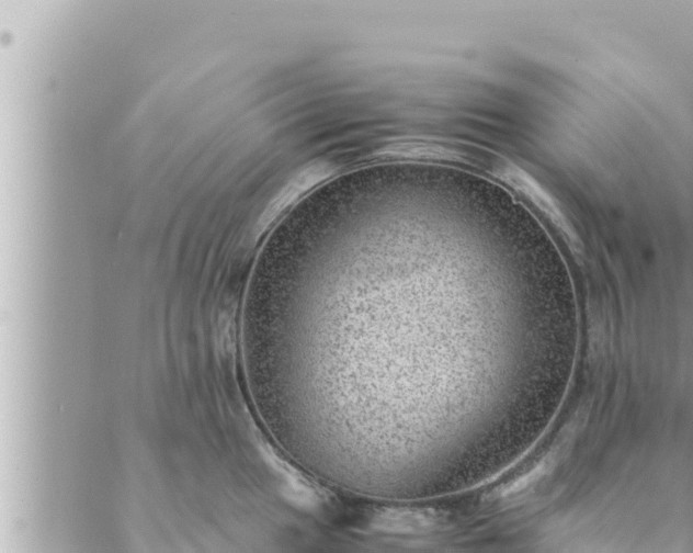 X0000088601049200706011158