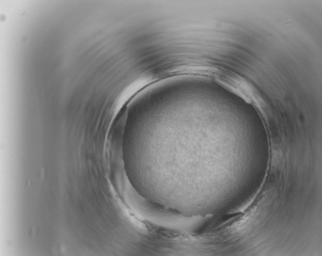 X0000088601050200706011158