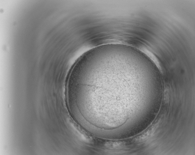 X0000088601051200706011158